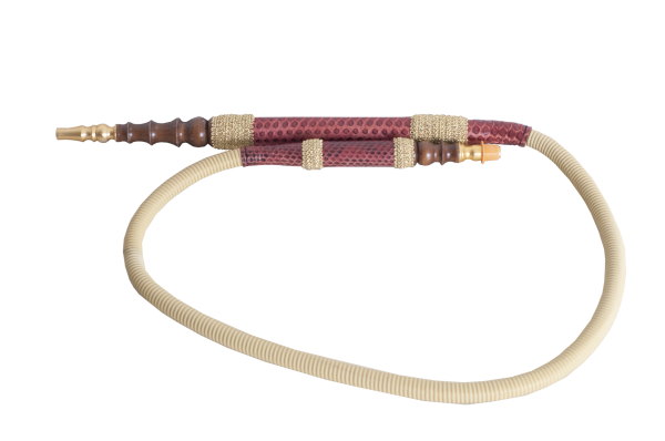 Naimi Anaconda