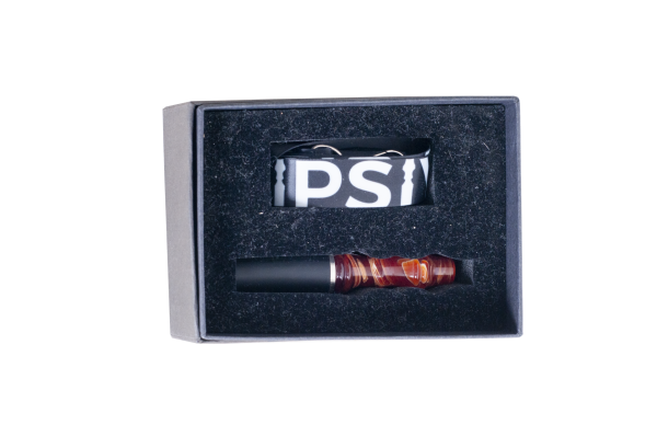 Sipsiy boyunluklu sipsi