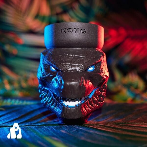 Kong Godzilla