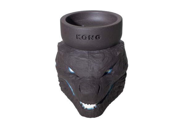 Kong Godzilla